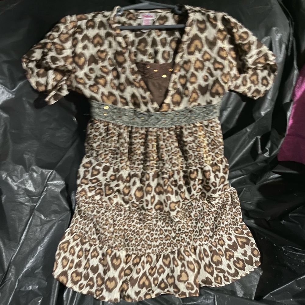 Leopard Print Dress